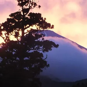 传统日式旅馆 华之宿日式旅馆, 箱根